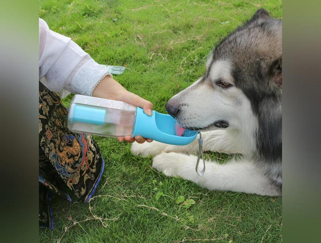 Portable Cat/Dog 3 in 1 Water Bottle